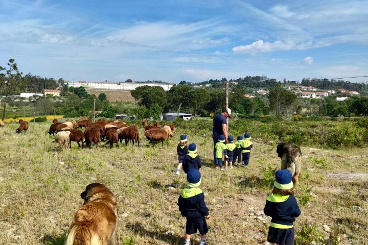 Cheese Tour Portugal