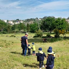 Cheese Tour Portugal