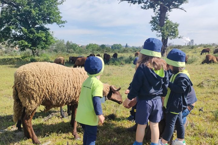 Cheese Tour Portugal