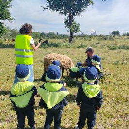 Cheese Tour Portugal