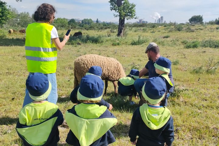 Cheese Tour Portugal