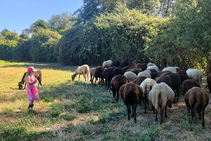 Cheese Tour Portugal