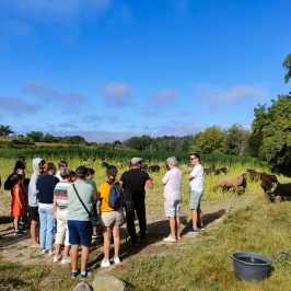 Cheese Tour Portugal
