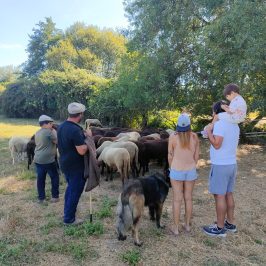Cheese Tour Portugal
