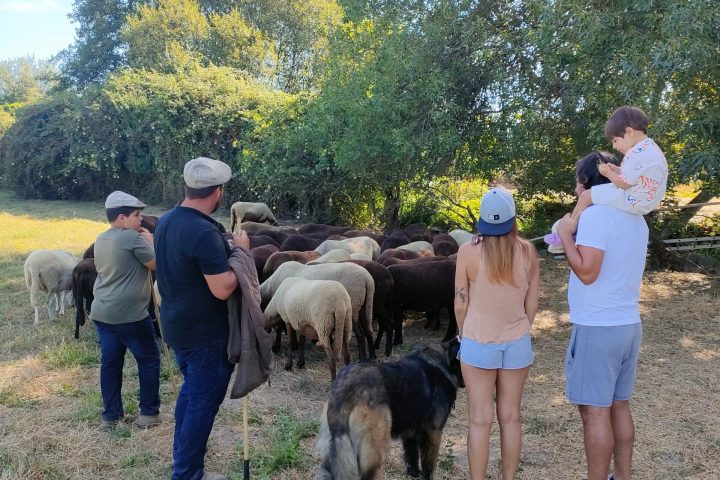 Cheese Tour Portugal