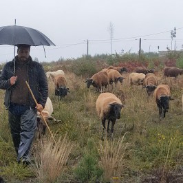 Cheese Tour Portugal