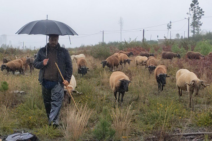 Cheese Tour Portugal