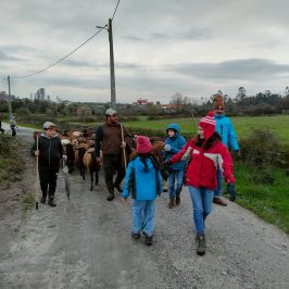 Cheese Tour Portugal