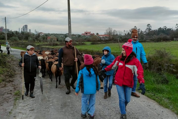 Cheese Tour Portugal