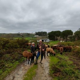Cheese Tour Portugal