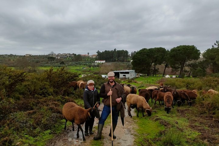 Cheese Tour Portugal
