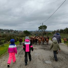 Cheese Tour Portugal