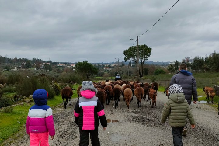 Cheese Tour Portugal