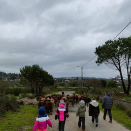 Cheese Tour Portugal