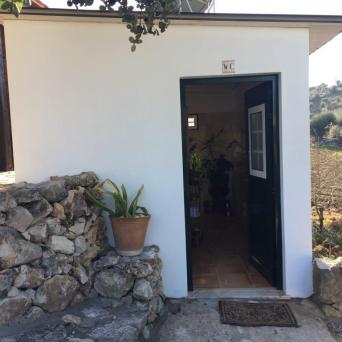 Shiitake Mushroom Farm tour