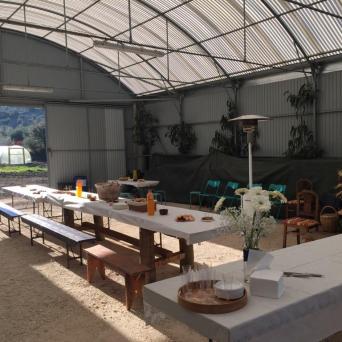 Shiitake Mushroom farm tour