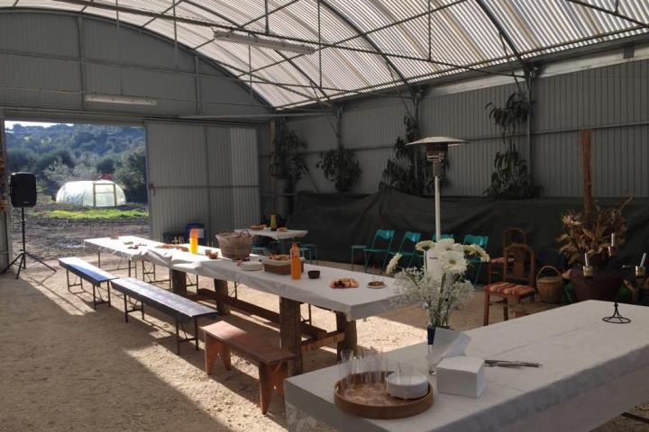 Shiitake Mushroom farm tour