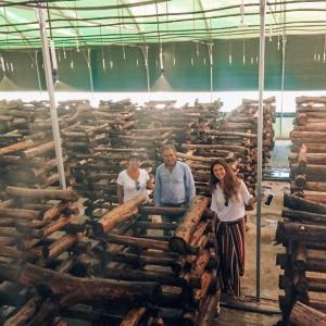 Shiitake Mushroom Farm