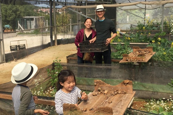Lisbon tour in a Shiitake Mushroom & Snail Farm