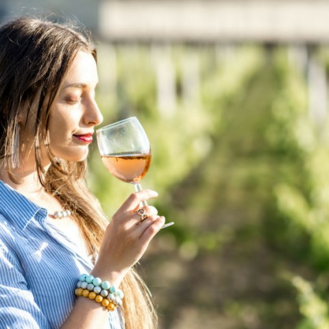 Wine tasting in Sintra