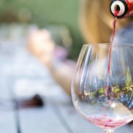 wine tasting tour in Sintra