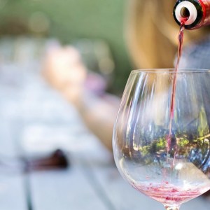 wine tasting tour in Sintra