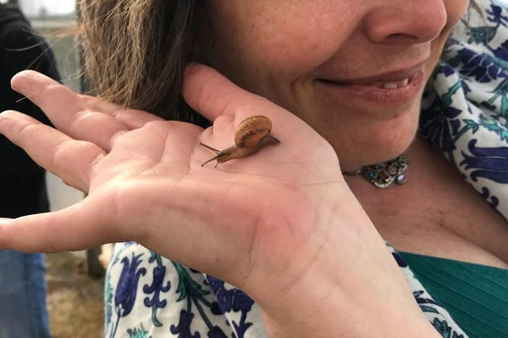 Woman enjoying a snail experience