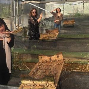 People enjoying a snail experience