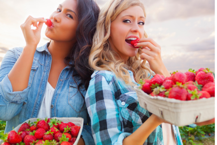 Strawberry Picking Experience