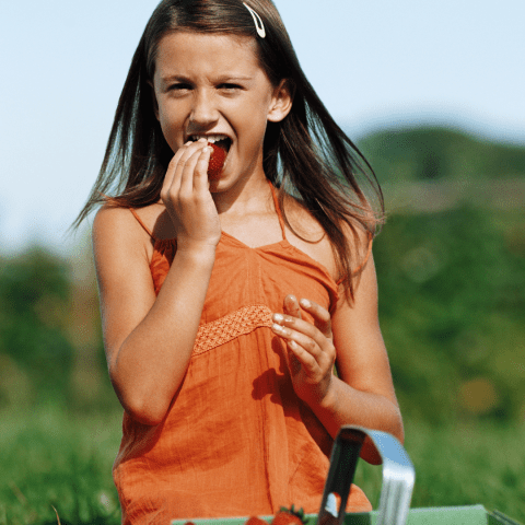 Strawberry Picking Experience