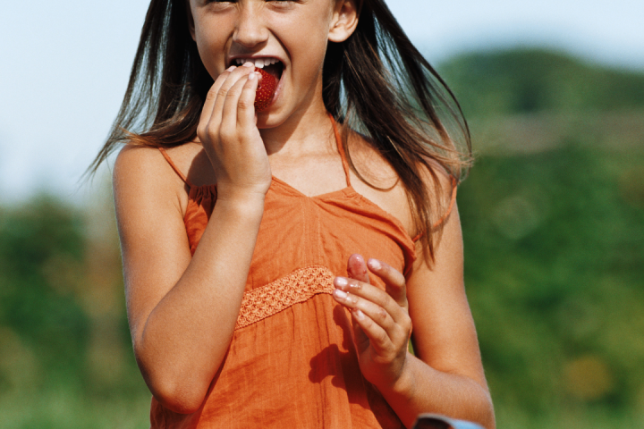 Strawberry Picking Experience