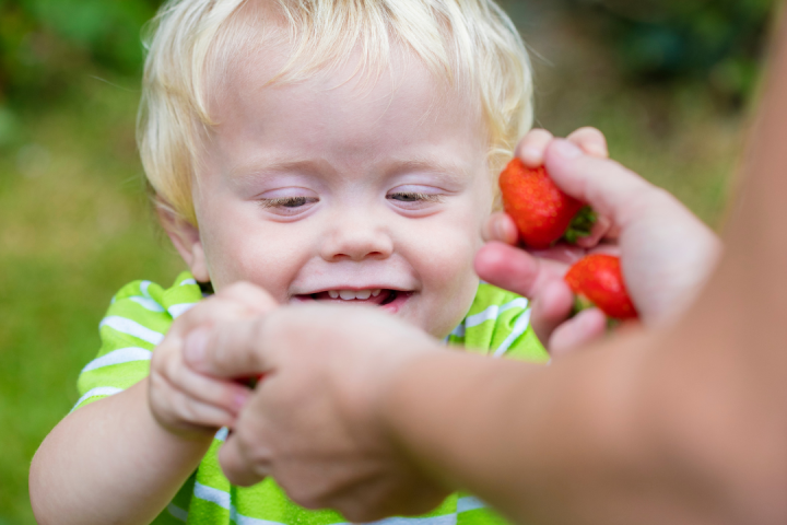 Strawberry Picking Experience