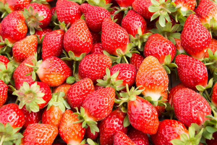 Strawberry Picking Experience