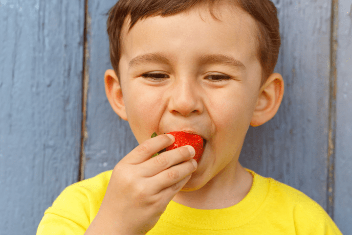 Strawberry Picking Experience