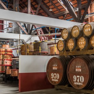 SugarCane Rum tasting in Madeira