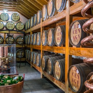SugarCane Rum tour in Madeira