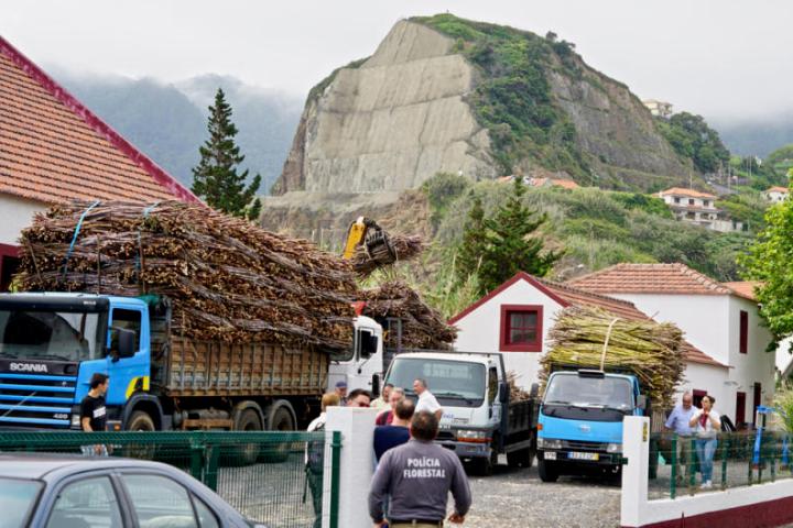 SugarCane Rum tour in Madeira