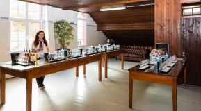 SugarCane Rum tour in Madeira