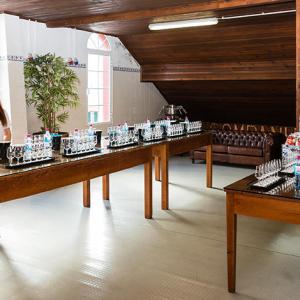 SugarCane Rum tour in Madeira