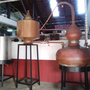 SugarCane Rum Tasting tour in madeira
