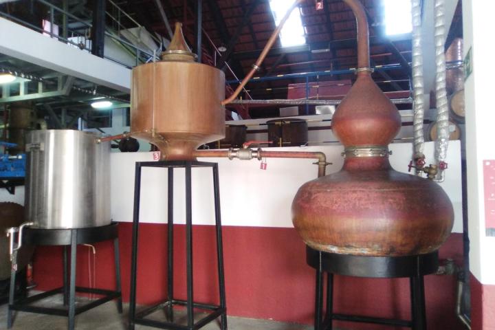 SugarCane Rum Tasting tour in madeira