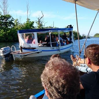 boat into a farm in lisbon