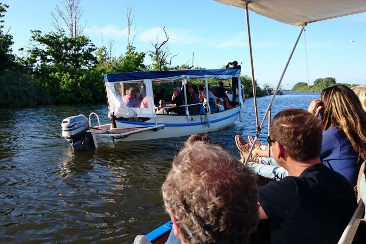 people enjoying a boat