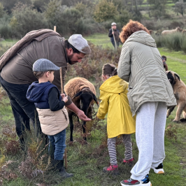 Shepherd's Cheese tour