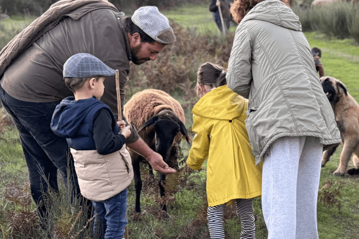 Shepherd's Cheese tour
