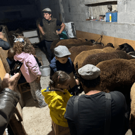 Shepherd's Cheese tour