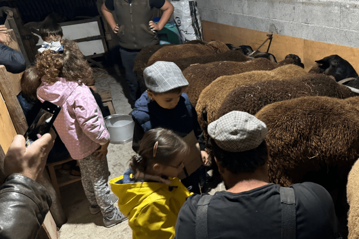 Shepherd's Cheese tour