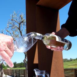 Algarve wine tasting