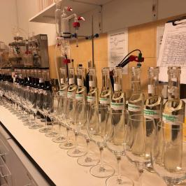 Algarve wine tasting