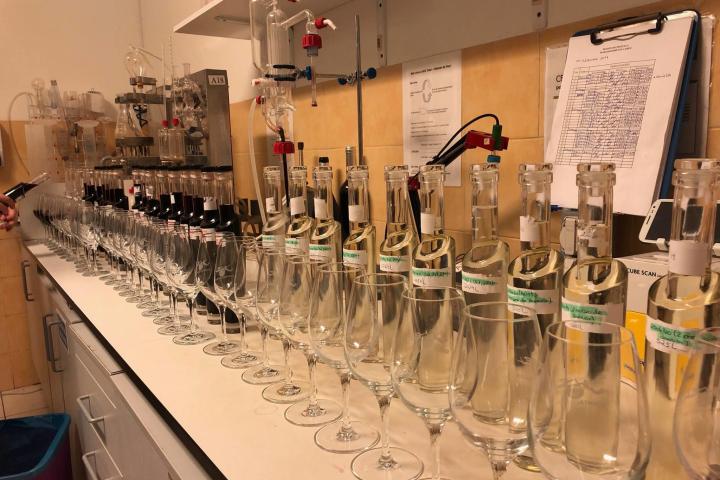 Algarve wine tasting